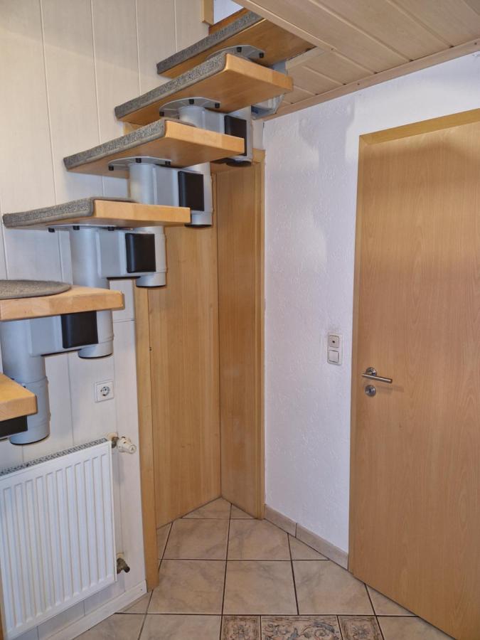 Ferienwohnung Blumenshein Bei Speyer Karlsruhe Familienfreundlich 5 Pers Zeiskam ภายนอก รูปภาพ